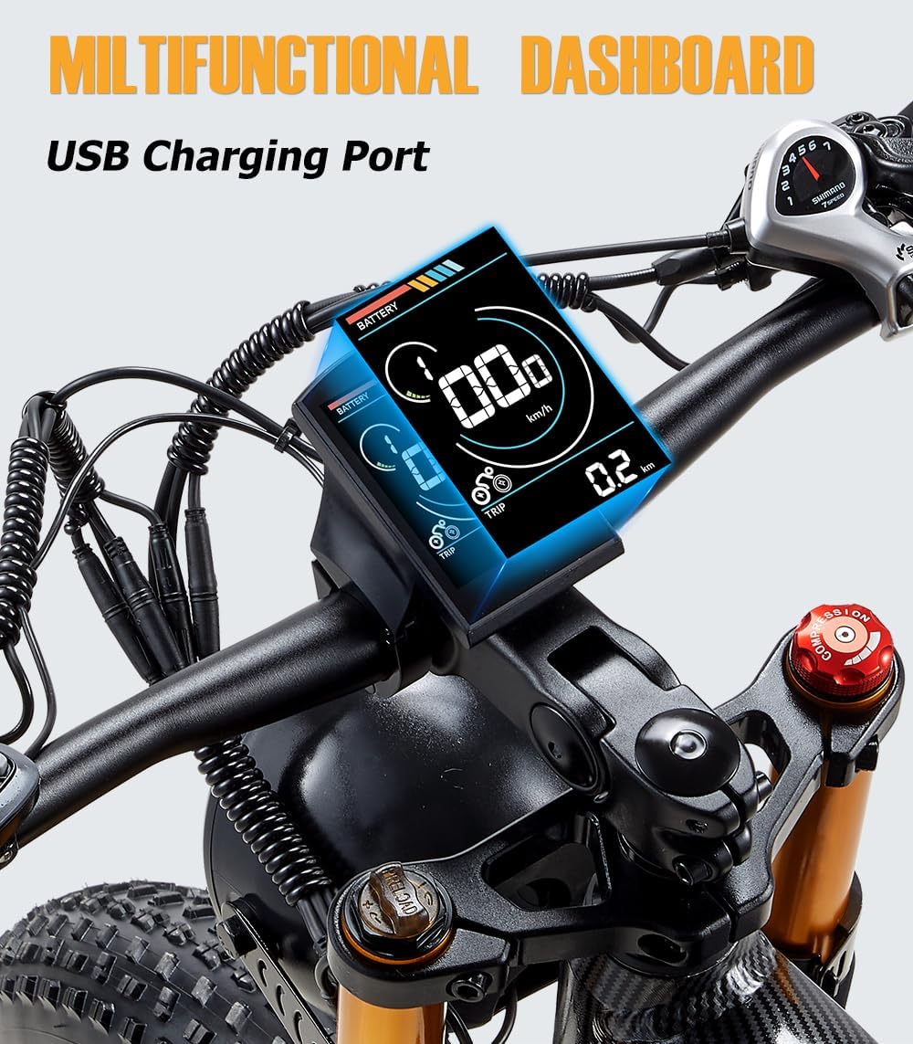 DAMSON Dual Motor 2000W Electric Bike for Adults view 6