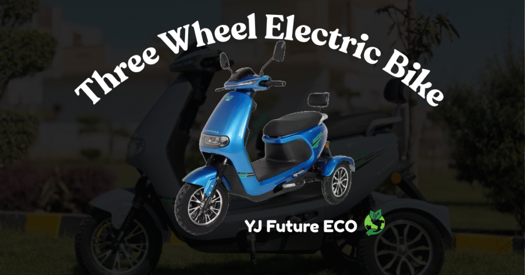 Three Wheel Electric Bike
